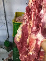 وهران:حملات على القصابات  و محلات المواد الغذائية تنتهي بحجز كميات من اللحوم الفاسدة والبضائع