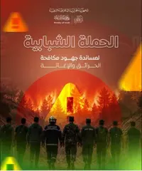 وزارة الشباب تطلق الحملة الشبابية لمساندة جهود مكافحة الحرائق