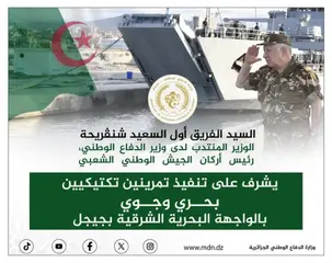 الفريق أول شنقريحة يشرف بجيجل على تمرينين تكتيكيين بحري وجوي