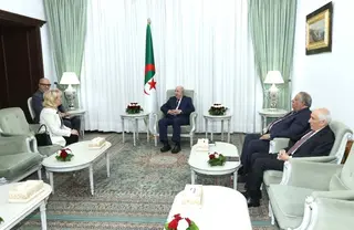 رئيس الجمهورية يستقبل سفيرة جمهورية صربيا