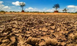 الجزائر تحيي اليوم العالمي لمكافحة التصحر والجفاف بتنظيم أنشطة عبر مختلف الولايات