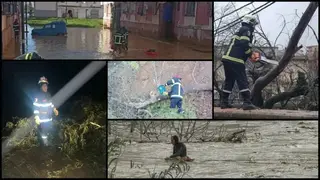 الحماية المدنية تسجل 530 تدخلاً منذ 27 يناير رياح قوية تجتاح عدة ولايات