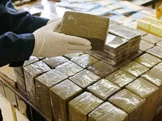 تفكيك شبكة دولية لتهريب المخدرات مرتبطة بمنظمة إجرامية مغربية