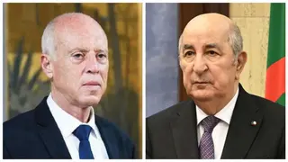 رئيس الجمهورية ونظيره التونسي يتبادلان تهاني عيد الفطر المبارك