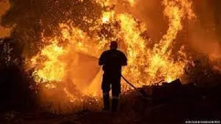 غابات: حصيلة الحرائق لهذه الصيف أقل حدة مقارنة ب2021