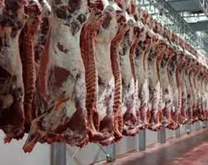 تسويق 3 آلاف طن من اللحوم الحمراء بـ 1200 دج للكلغ خلال رمضان