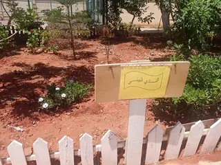 تواصل تصفيات المسابقة الولائية لأحسن مدرسة ايكولوجية