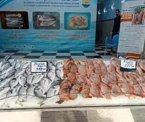 مستغانم: فتح خمس نقاط لتسويق منتجات تربية المائيات