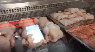 الدجاج بـ 500 دج في أسواق التجزئة
