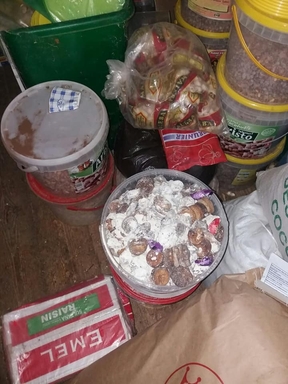 اعذار محلات و حجز مواد فاسدة بمحلات بشوبو وهران