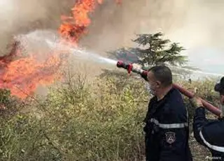 تسجيل 11 بؤرة حريق اليوم الأحد عبر 6 ولايات