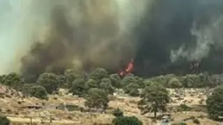 سعيدة...  السيطرة على بؤر  الحرائق