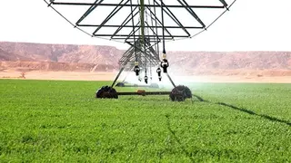 تلمسان : ربط أزيد من 590 مستثمرة فلاحية بشبكة الكهرباء