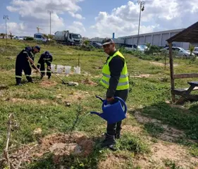 غرس قرابة 180 ألف  شجيرة خلال 2025