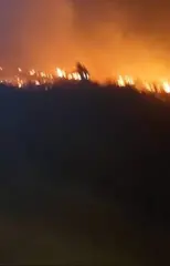 الشلف ... الوالي يشدد على رفع الجاهزية لأي طارئ فور إخماد حريق غابة "تاقلوعت" ببني راشد
