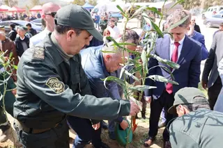 في اليوم الدولي للغابات بمعسكر  : غرس 4 آلاف شتلة وتأكيد على حماية الثروة الطبيعية