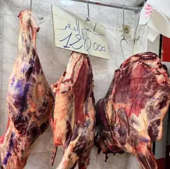 غليزان: تموين نقاط البيع و قصابات ب 28 قنطارا من اللحوم الحمراء المدعمة