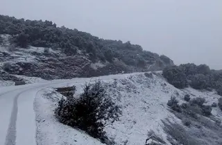 تساقط الثلوج على ولايات تلمسان وبلعباس والنعامة   الأحد والاثنين