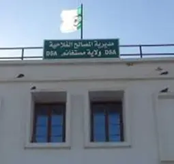 للرفع من المردودية.. أيام تحسيسية حول المعالجة الشتوية لفائدة الفلاحين بمستغانم