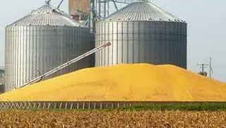 للرفع من قدرات  التخزين بالنعامة: استلام 8 صوامع حبوب قبل نهاية 2026