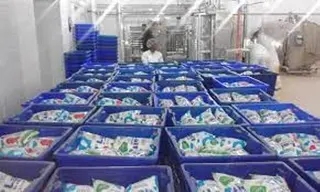 الشلف: ارتفاع إنتاج الحليب المدعم إلى أزيد من 88 ألف لتر يوميا