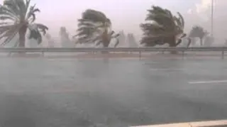 معسكر : تخصيص مساحة  61300 هكتار لزراعة الحبوب