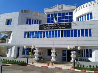 مستغانم: ترقب إنتاج 650 ألف قنطار من الفواكه خلال هذا الموسم
