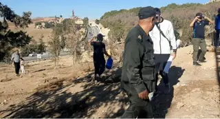 غليزان: غرس أزيد من 600 شجيرة بغابة حي شايب الذراع ىومدخل مدينة  سيدي أمحمد بن علي