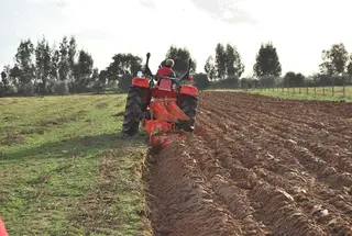 في أجواء مفعمة بالأمل والطموح  ...موسم الحرث والبذر ينطلق  بالأغواط