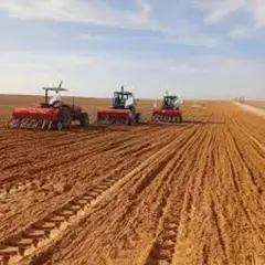 في إطار مبادرة الغرفة الفلاحية " شهادة حسن الجوار " ...  تسوية الوضعية الإدارية لـ800 فلاح