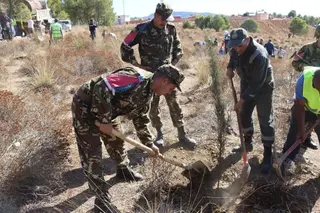 الشلف   أهداف ببلوغ 26 ألف شجرة عبر 25 بلدية