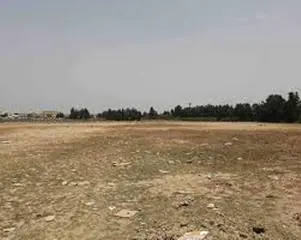 في لقاء إطارات من وزارة الفلاحة بفلاّحي مستغانم  ..تأكيد على التزام الدولة بمرافقة منتجي البطاطس ودعمهم