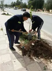 مغنيةاستعدادات كبيرة لمباشرة أكبر عملية للتشجير خلال أيام