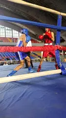 البطولة الجهوية للملاكمة  عند الأشبال والأواسط بقصر الرياضة ...  تألق ممثلي رابطة وهران وتلمسان في اليوم الأول