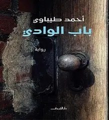 معرض الشارقة الدولي للكتاب: "باب الوادي" لأحمد طيباوي يفوز بجائزة أفضل كتاب  عربي في مجال الرواية