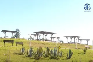 المفرغة العمومية بوادي السمار تتحول لحديقة عمومية و قطب صديق للبيئة