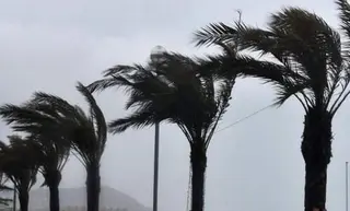 رياح قوية مرتقبة يومي الجمعة والسبت بعدة ولايات من الوطن