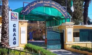 هزة ارتدادية بقوة 7ر4 درجات بولاية تبسة