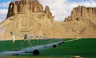 إنشاء الشبكة الموضوعاتية للفلاحة الصحراوية ''ضرورة  للمساهمة في تحقيق الأمن  الغذائي''