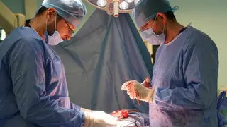 بحضور وفد من الوكالة الوطنية لزراعة   الأعضاء  : مستشفى 1 نوفمبر  بوهران يبرمج 3 عمليات لزراعة الكلى