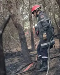 حرائق الغابات بتيبازة: السيطرة على جميع بؤر النيران